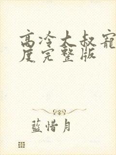 高冷大叔宠妻无度完整版