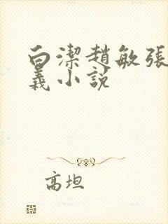 白洁赵敏张倩高义小说