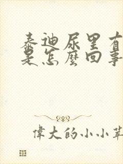 泰迪尿里有点血是怎么回事封面