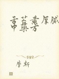 舌苔黄厚腻口苦中药方