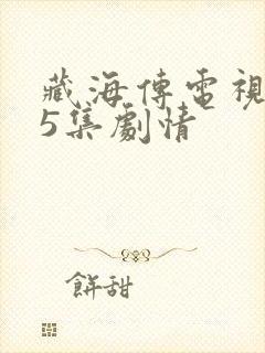 藏海传电视剧35集剧情