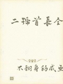 二号首长全集