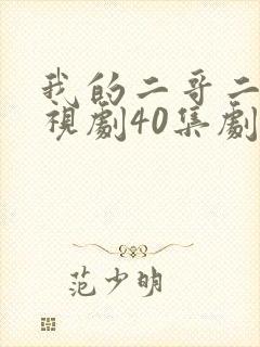 我的二哥二嫂电视剧40集剧情介绍