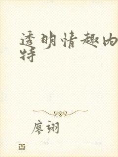 透明情趣内衣模特