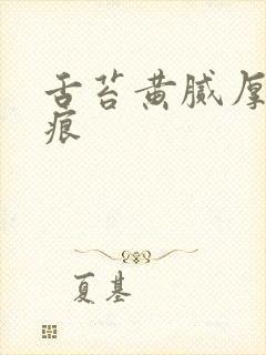 舌苔黄腻厚有齿痕