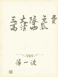 三大队免费观看高清西瓜