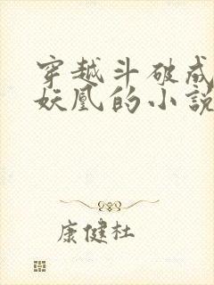 穿越斗破成女天妖凰的小说