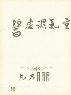 脾虚湿气重舌苔白