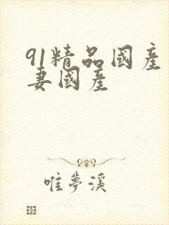 91精品国产人妻国产