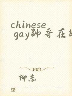 chinese gay帅哥在线