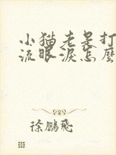 小猫老是打喷嚏流眼泪怎么回事