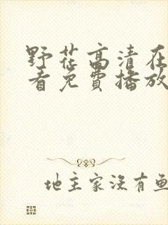 野花高清在线观看免费播放6