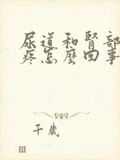 尿道和肾部有点疼怎么回事