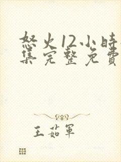 怒火12小时全集完整免费观看高清