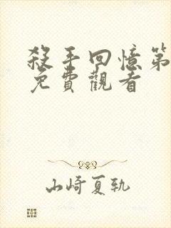 杀手回忆第一季免费观看