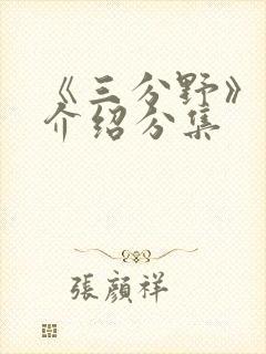 《三分野》剧情介绍分集