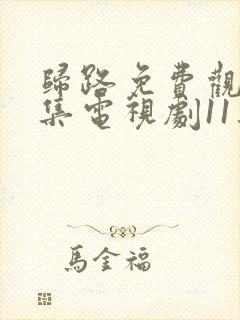 归路免费观看全集电视剧11集