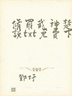 修罗武神楚枫小说txt免费下载