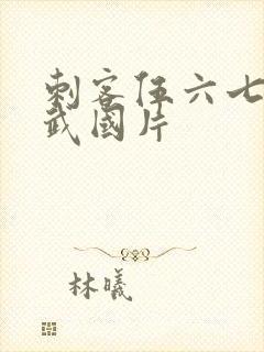 刺客伍六七之玄武国片封面