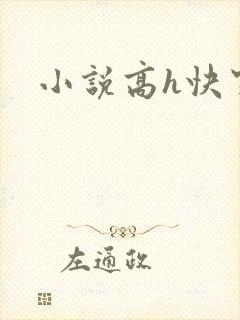 小说高h快穿