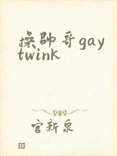 操帅哥gay twink