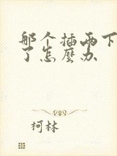 那个插两下就泄了怎么办封面