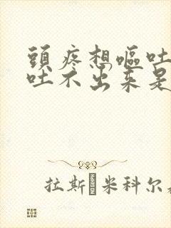 头疼想呕吐但又吐不出来是什么原因