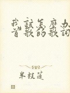 我该怎么办是哪首歌的歌词