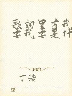 歌词里有我要我要我要是什么歌