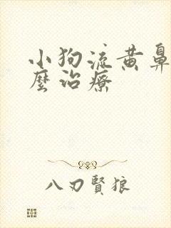 小狗流黄鼻涕怎么治疗