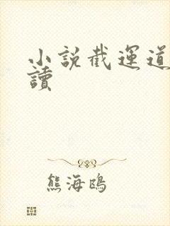 小说截运道师阅读