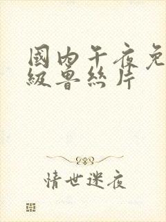 国内午夜免费一级鲁丝片