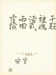 霍雨浩被千道流捡回武魂殿小说