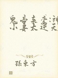 鬼帝来袭:神棍小妻太逆天
