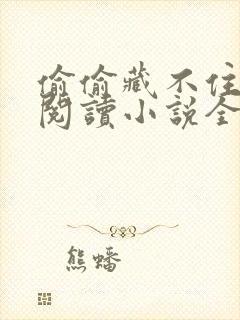 偷偷藏不住在线阅读小说全集