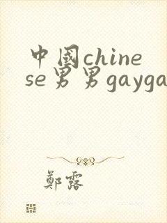 中国chinese男男gaygay免费视频