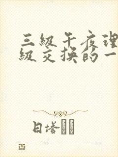 三级午夜理伦三级交换的一天