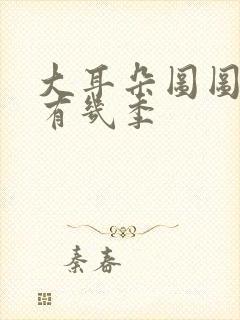 大耳朵图图总共有几季