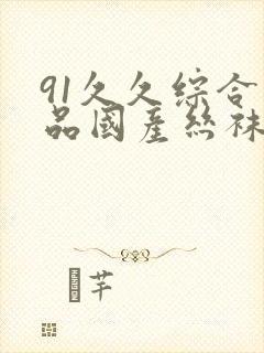 91久久综合精品国产丝袜