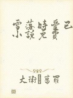 雪落时爱已落幕小说免费