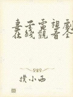 妻子电视剧高清在线观看全集封面