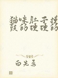 猫咪肚子摸着鼓鼓的硬硬的