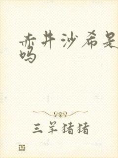 赤井沙希是女优吗