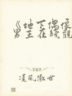 《地下偶像》双男主在线观看