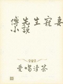 傅先生宠妻无度小说