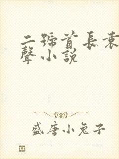 二号首长袁博有声小说