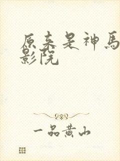 原来是神马琪琪影院