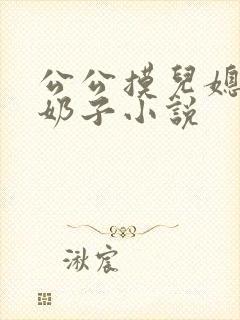 公公摸儿媳的大奶子小说封面