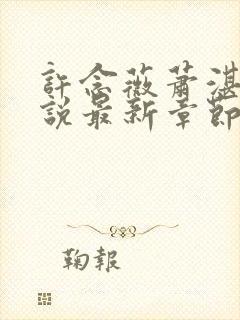 许念薇萧湛明小说最新章节免费阅读