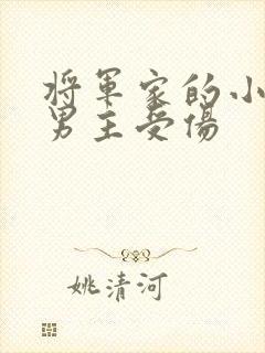 将军家的小娘子男主受伤